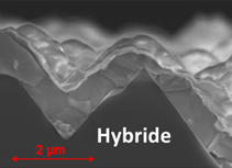 AMARIA (Collaboration avec l’institut Courtois – Université de Montréal) 